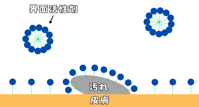 Surfactant-Penetration